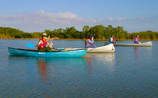 Everglades National Park Travel Insurance